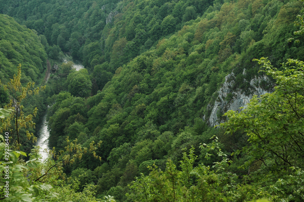 Deep valley. Vadu Crisului gorge, Transylvania, Romania