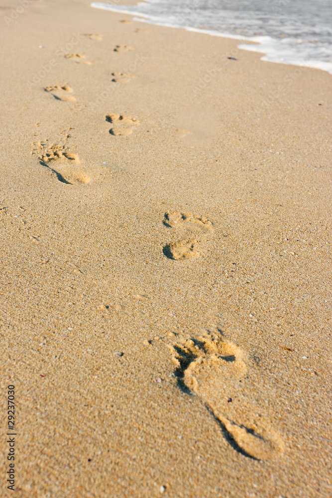 Beachwalk on the sea sand beach Beachwalk on the sea sand beach