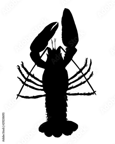 Krebs Silhouette