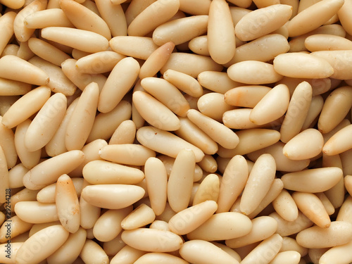 Pine Nuts Close Up photo