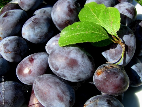 prunes photo