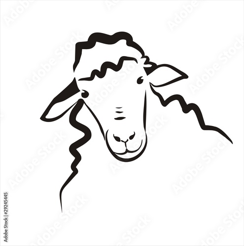 sheep icon in simple black lines