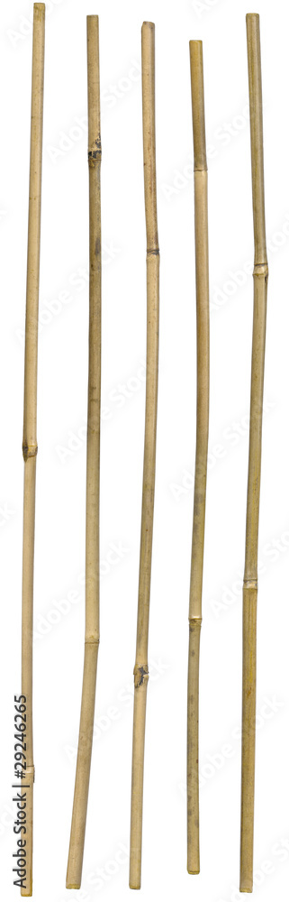 Naklejka premium Bamboo Sticks