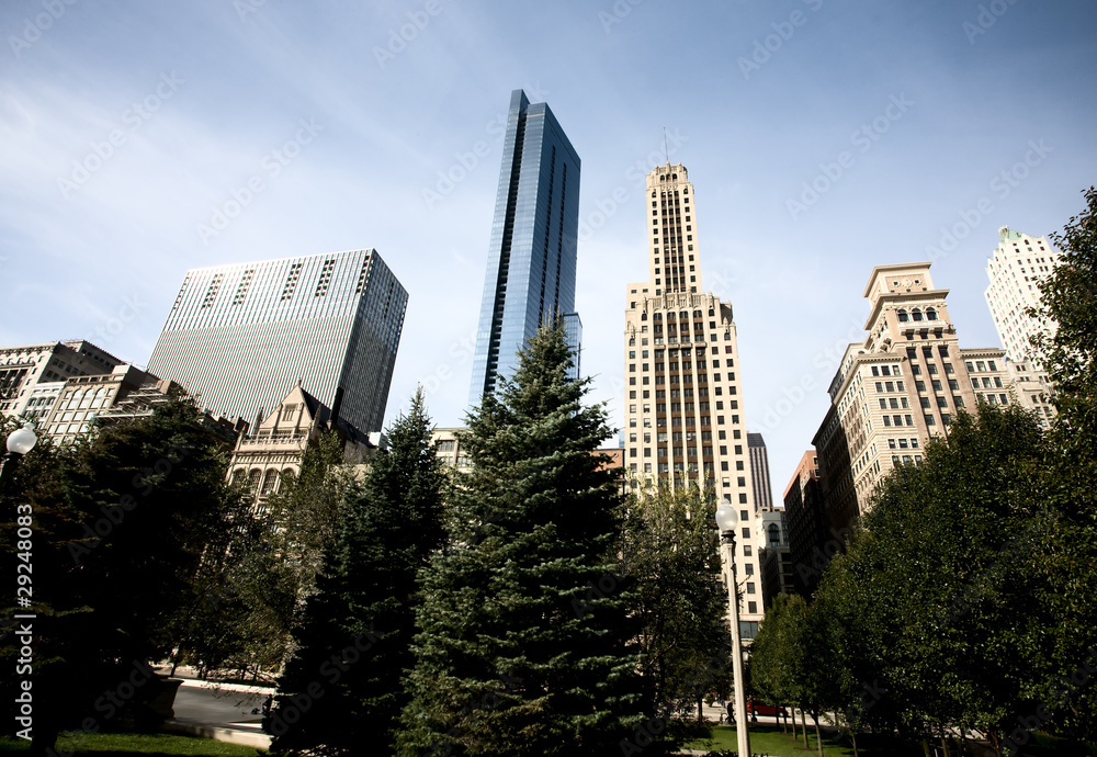 Fototapeta premium Chicago Cityscape