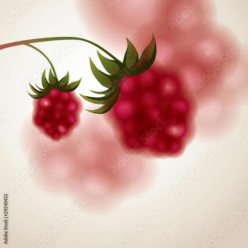 Raspberry on abstract background