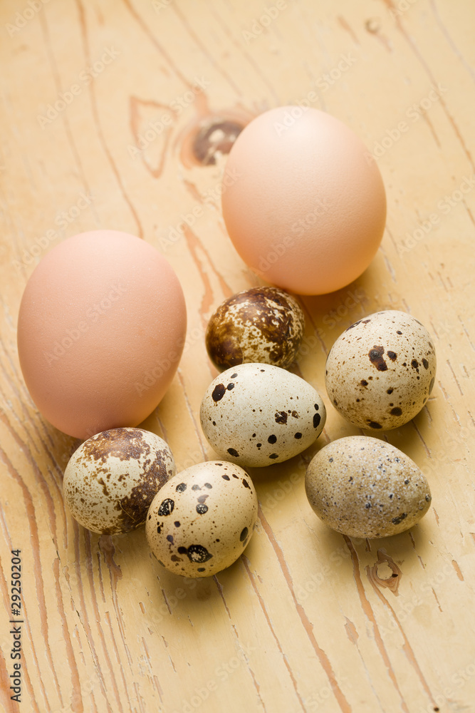 Obraz premium chicken and quail eggs on white background