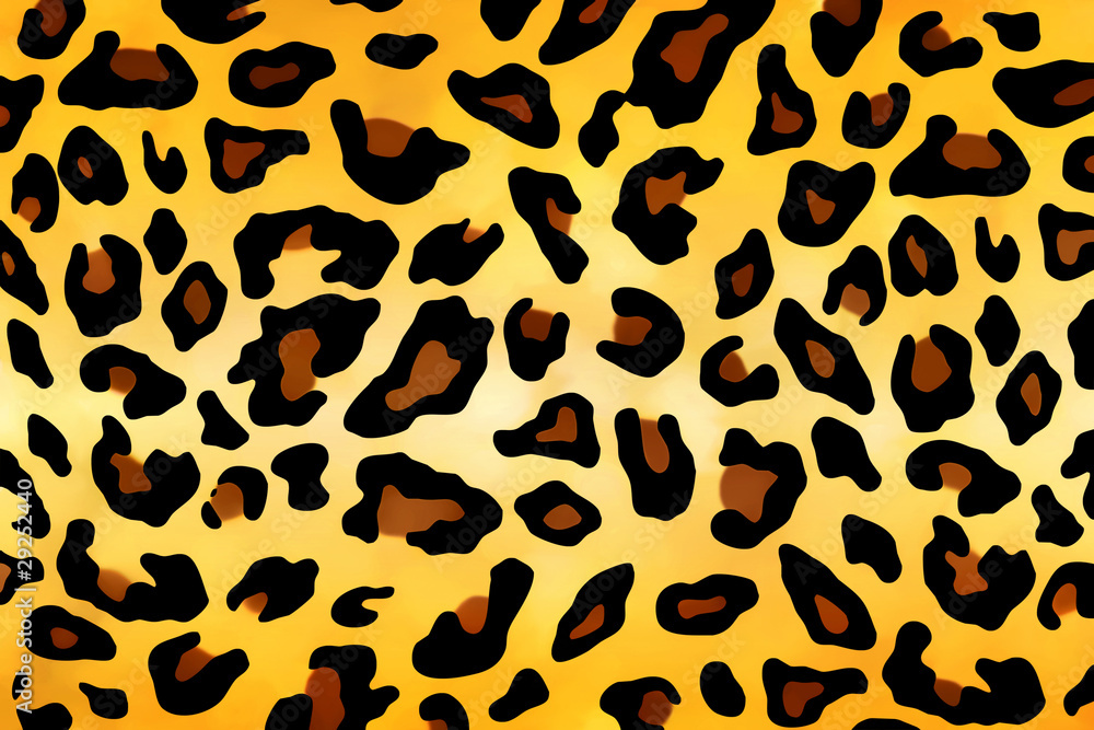 leopard pattern leopard pattern