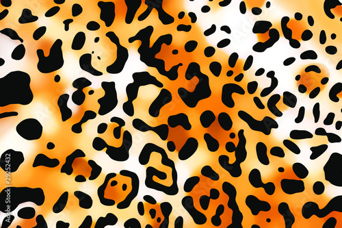 leopard design
