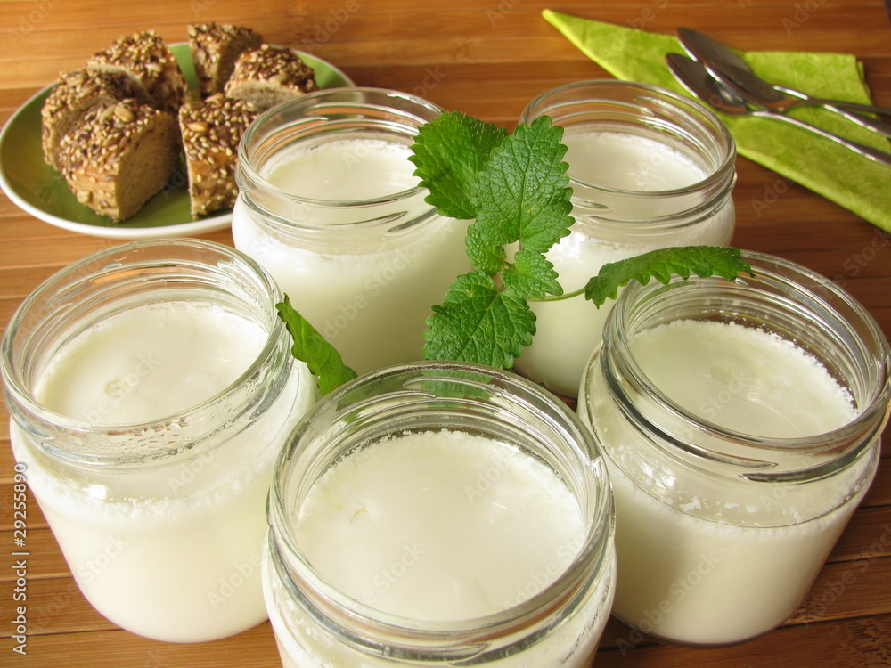 Joghurt aus dem Joghurtbereiter Joghurt aus dem Joghurtbereiter