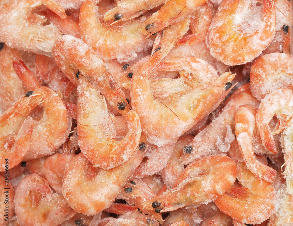 of fresh prawns of fresh prawns