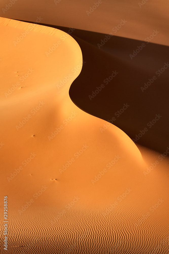 Fototapeta premium desert dunes