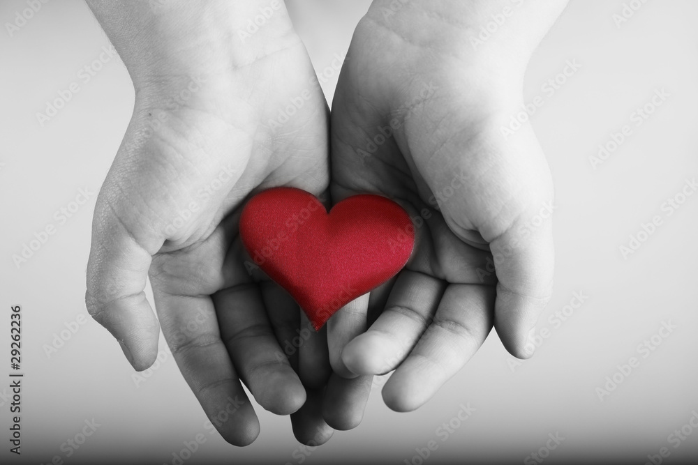 Fototapeta premium Heart in children's hands