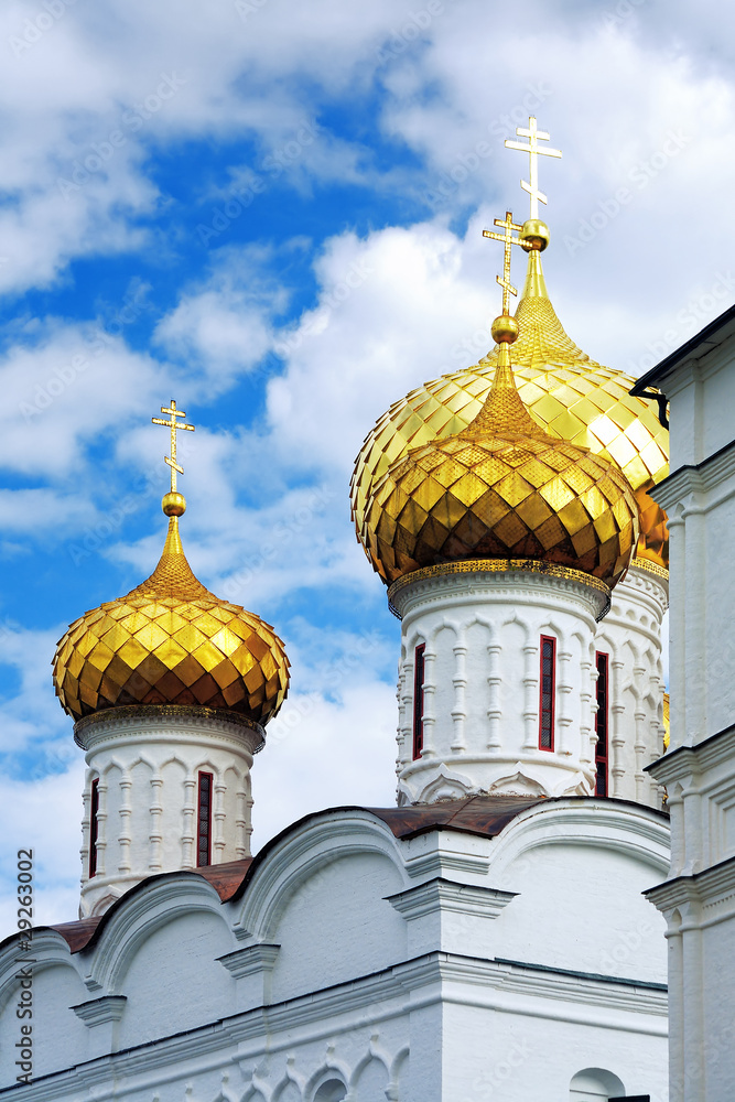 Fragment of the Trinity Cathedral in the Ipatiev Monastery, Kost