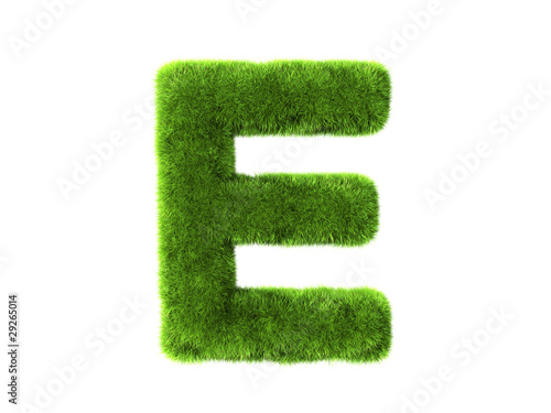 Fotografía Grass e