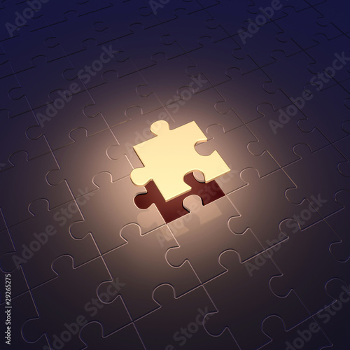 Conception of leadership. Puzzle