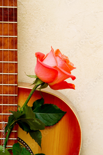 Rose and guitar.
