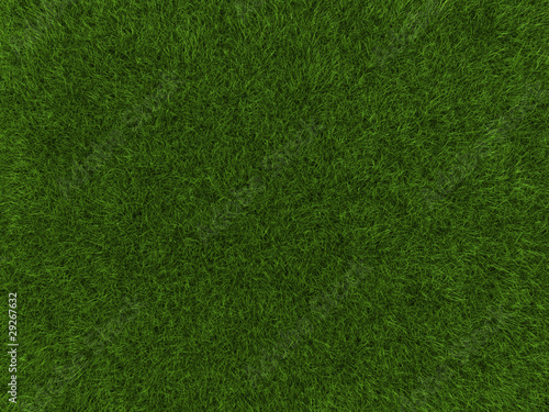 Grass texture