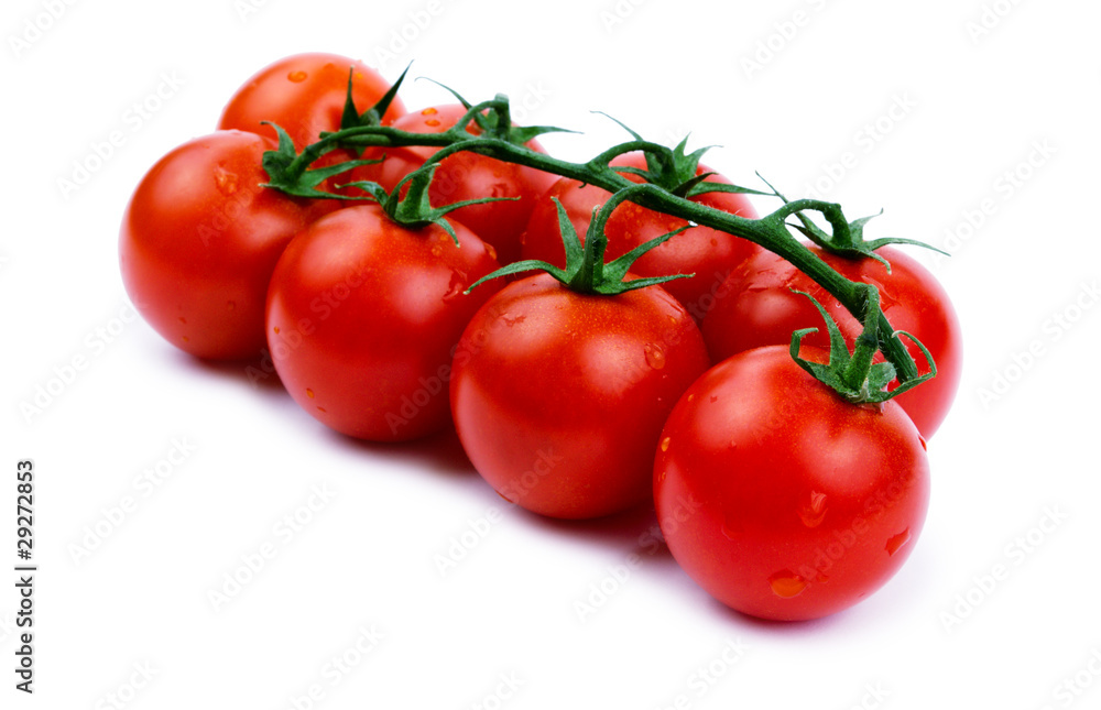 Tomatoes cherry on a green branch isolated on a white background Tomatoes cherry on a green branch isolated on a white background