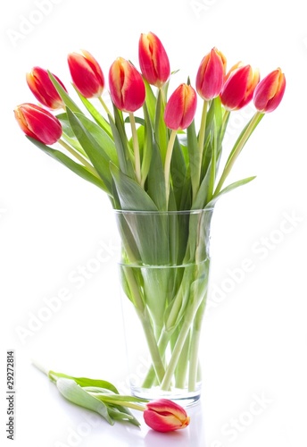 Fresh pink tulips in a vase