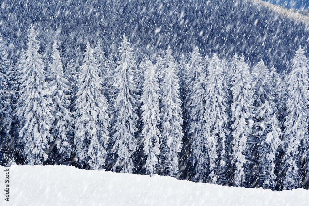 winter in mountains winter in mountains