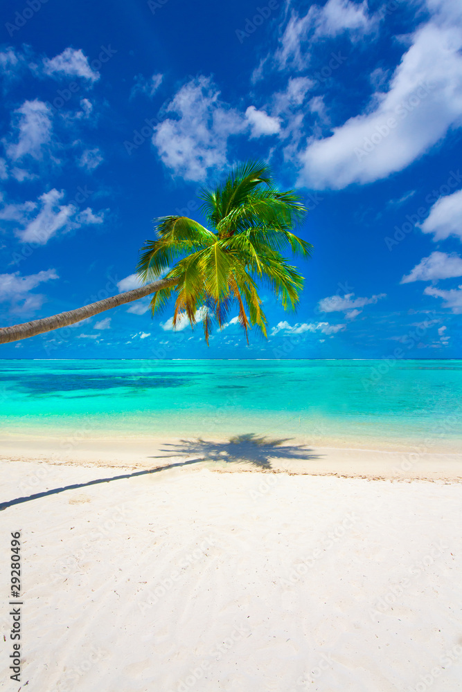 Obraz premium Holiday Paradise