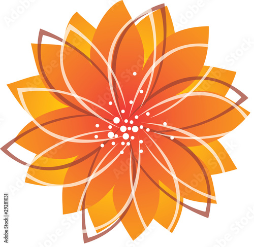 Flower pattern
