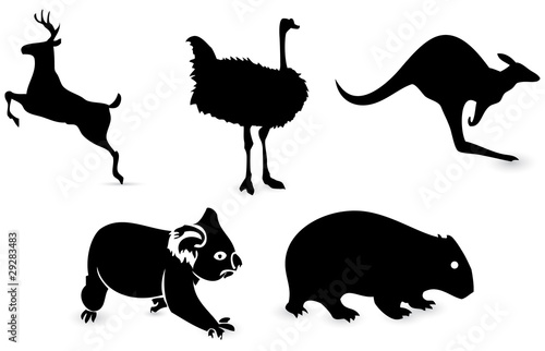 animal icon