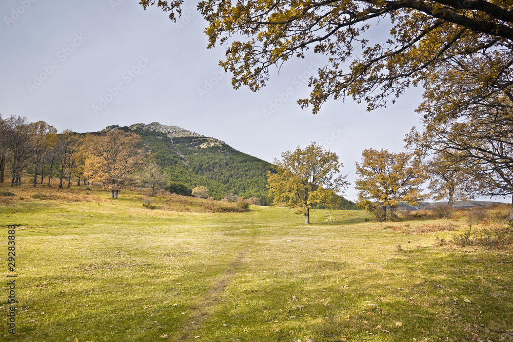 Obraz premium La Najarra