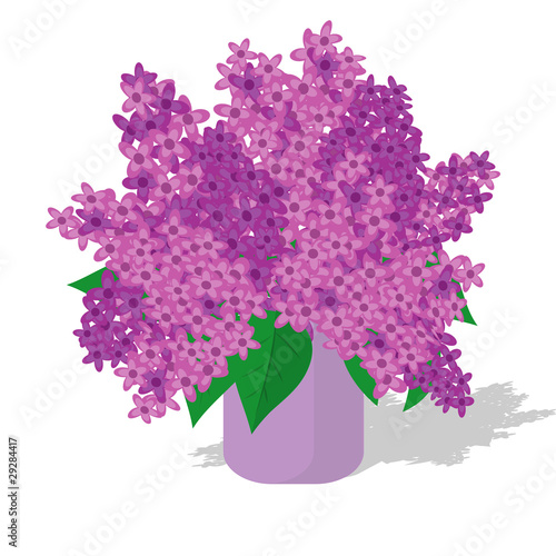 vector illustration with lilac