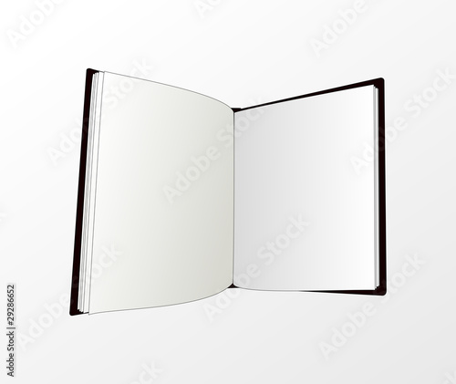 livre blanc