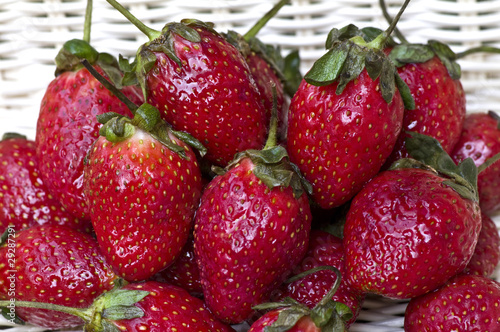 Fototapeta Naklejka Na Ścianę i Meble -  fresh strawberries in white basket