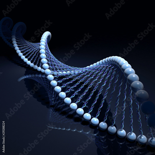 DNA Strands photo