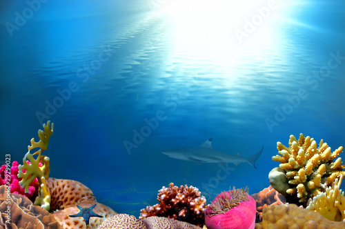 An underwater scene with sun rays
