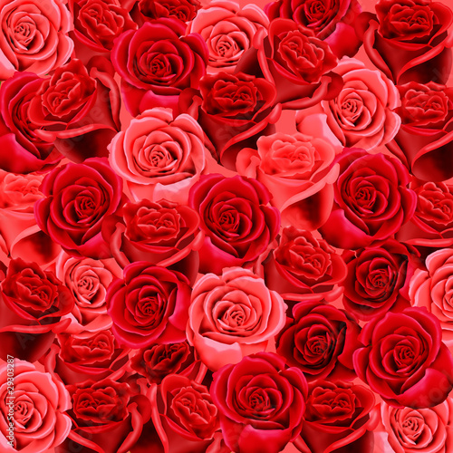Fototapeta Naklejka Na Ścianę i Meble -  Red and pink roses as a wallpaper background