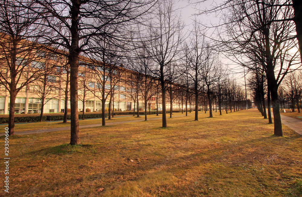 industrial building in the sunset with trees industrial building in the sunset with trees