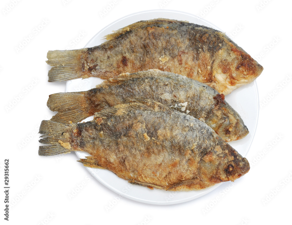 fried fish fried fish