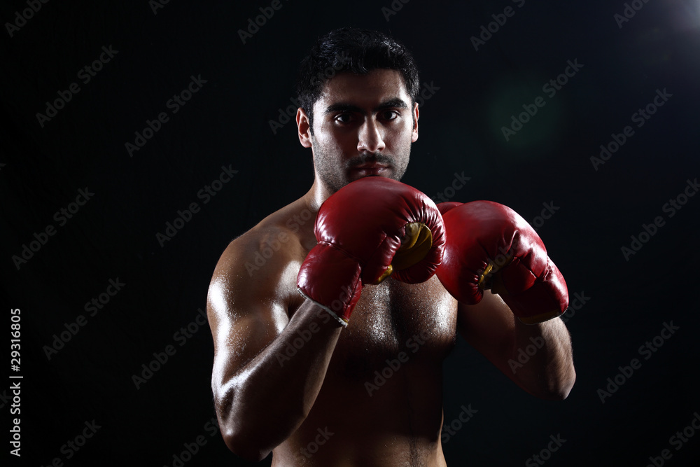 boxer boxer