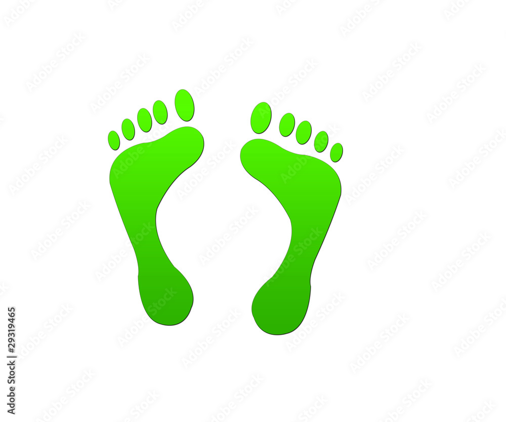 pied vert pied vert