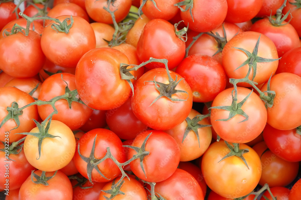 tomato tomato