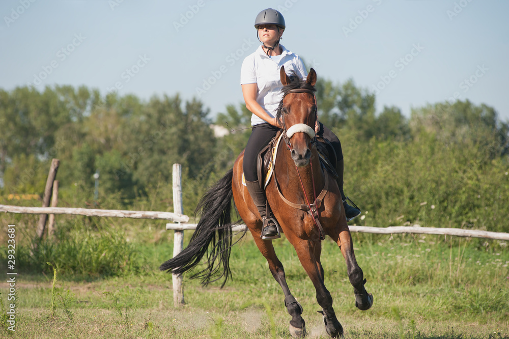 girl riding a horse