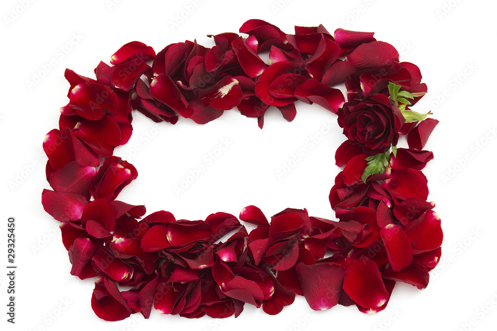 frame of red rose petals