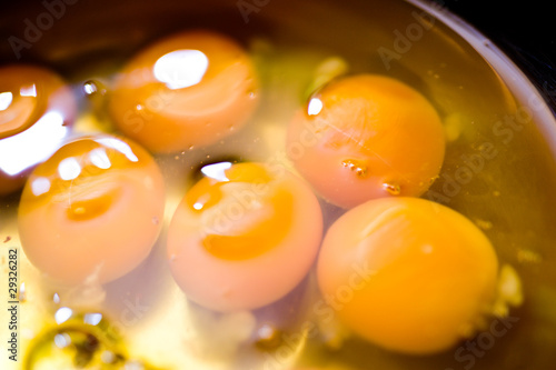 Jaunes d'œufs