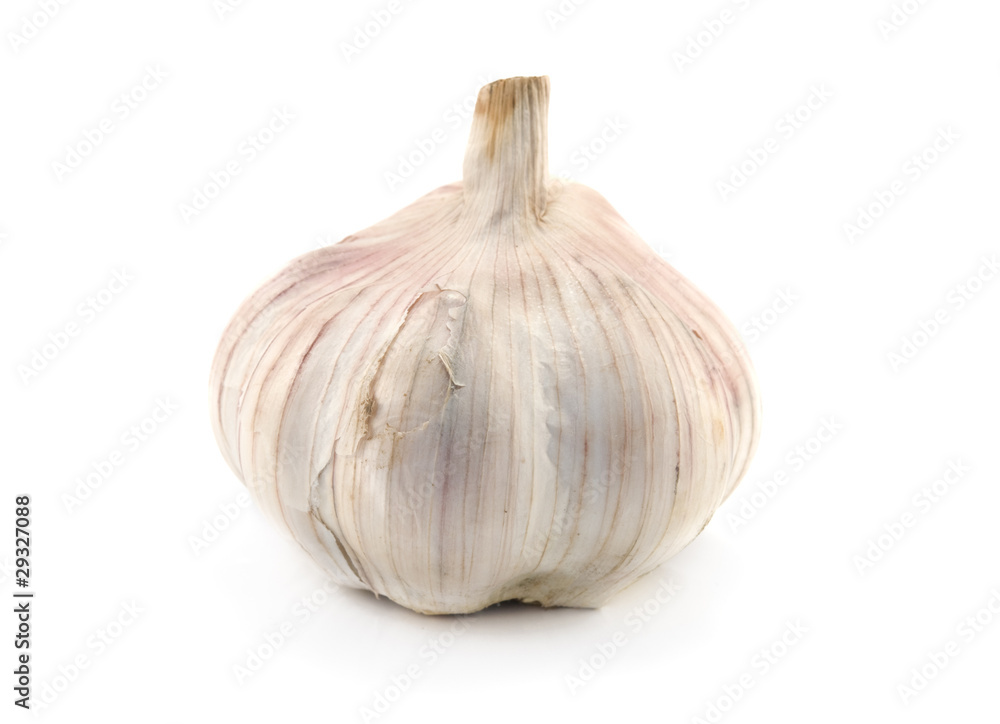 Obraz premium garlic single