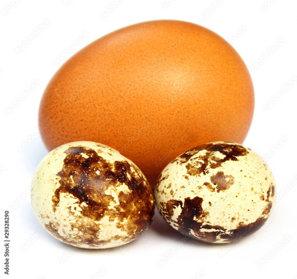 Obraz premium Mixed eggs