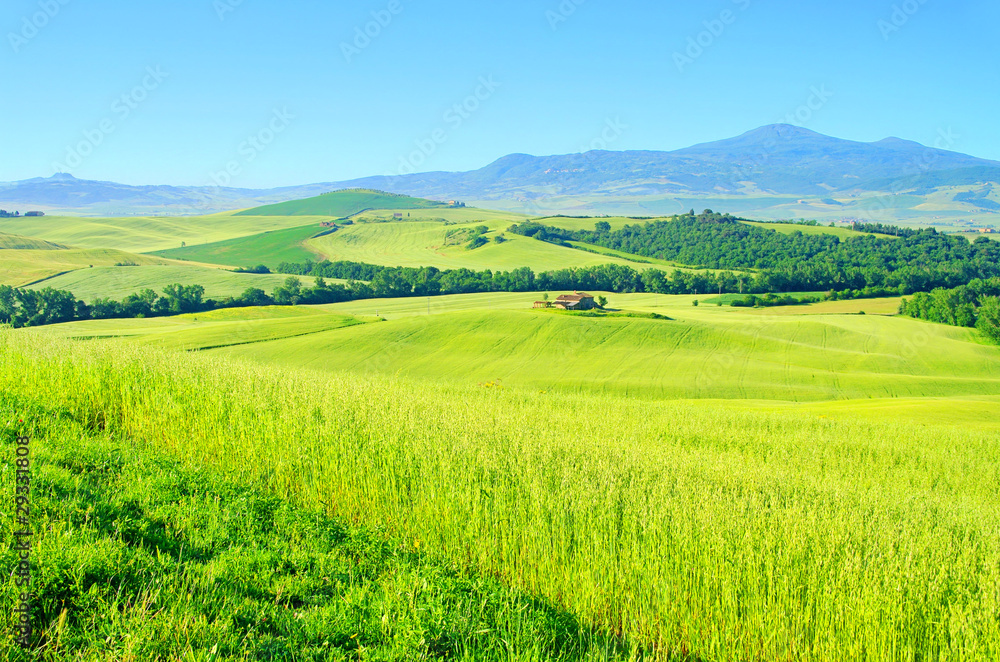 Podere 35 Podere 35