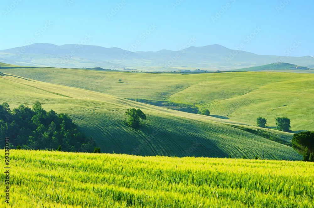 Toskana Huegel  - Tuscany hills 43