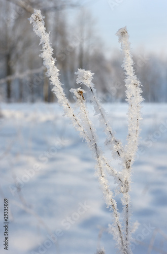 Winter landscape © v_blinov