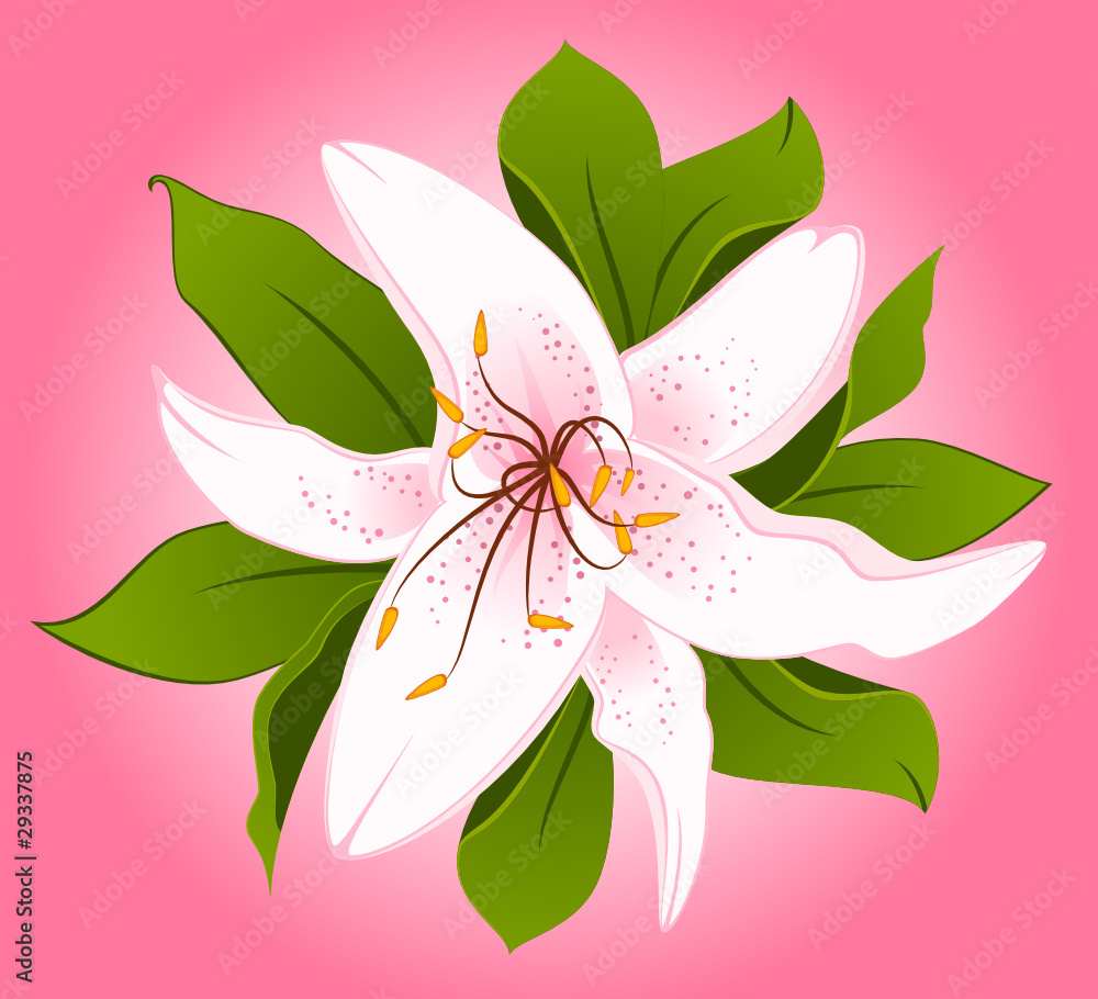 Beautiful Lily design element Beautiful Lily design element