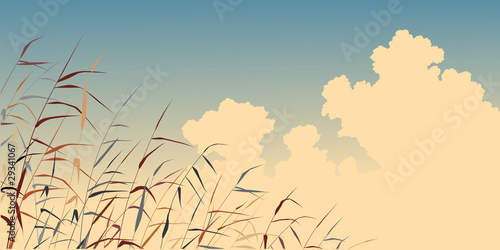 Reed sky