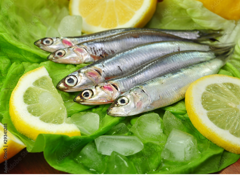 Fischfang Fischfang